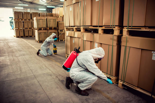 Best Local Pest Control Services  in Telford, PA