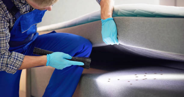 Best Residential Pest Control  in Telford, PA