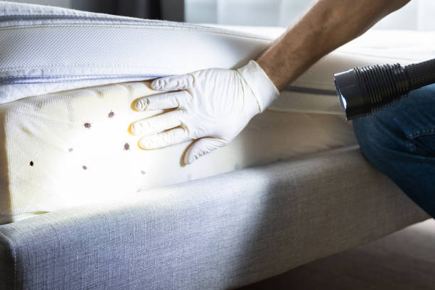 Best Pest Inspection Near Me  in Telford, PA