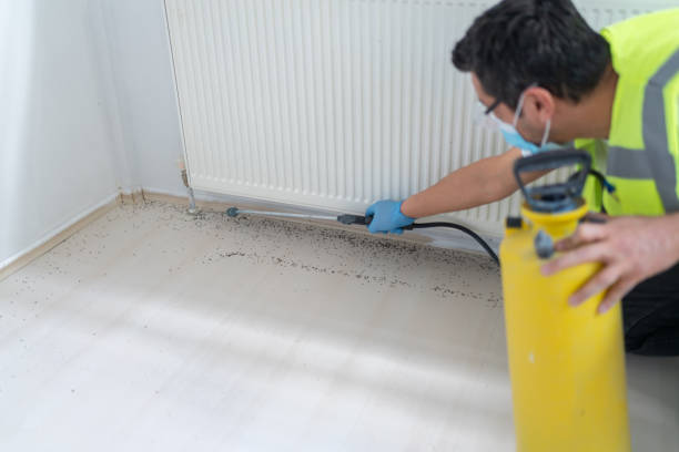 Best Flea Control Services  in Telford, PA