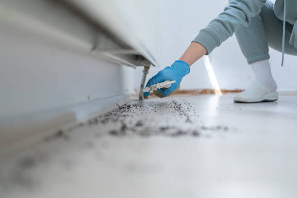 Pest Prevention Services in Telford, PA